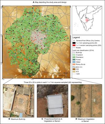 An expanding cityscape and its multi-scale effects on lizard distribution